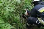 Дніпровські рятувальники допомогли малюку вибратися з пастки — промучився у занедбаному підвалі три дні