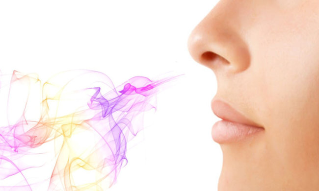 Б'є в ніс: створено електричний імплантат, який відновлює нюх