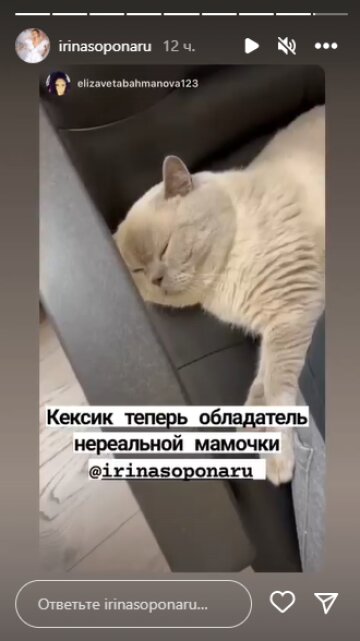Скриншот из Insta Stories, Ирина Сопонару