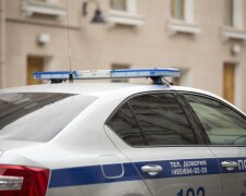 Полиция России