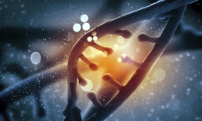 Перебудовує ДНК: генетики розповіли, як алкоголь викликає залежність