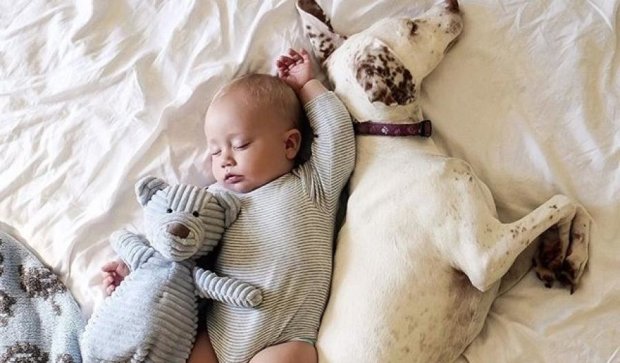 Канадка покорила интернет фотографиями младенца с собакой 