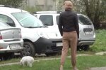 У Франківську труять собак, кадр з репортажу каналу 112: YouTube