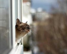 Погода на 20 квітня: до України рухаються різкі зміни