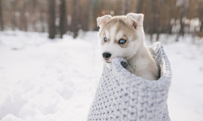 В Украине морозы не отступают/ фото ua.depositphotos.com