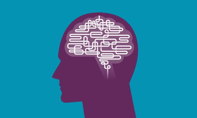 Увага та пам'ять: скільки часу потрібно мозку для відновлення після вечірки