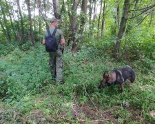 Школярка пасла корів і застрягла у лисячій норі - шукали три дні з плачами