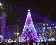 Первый пошел: в Ивано-Франковске уже устанавливают новогоднюю елку, - вдохновляющие кадры