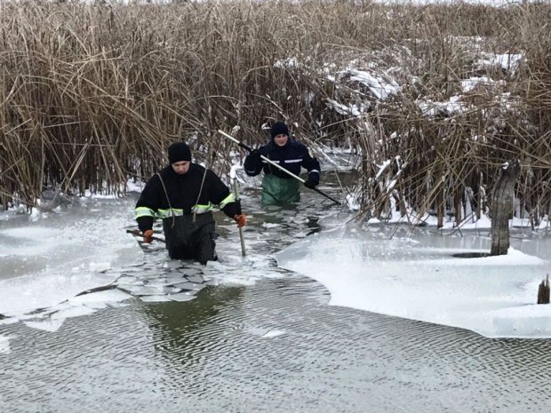 Украинские спасатели достали собаки из замерзшей реки и колодца: праздник милосердия