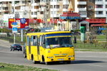 Потрапила в "м'ясорубку": поїздка в маршрутці перетворилася для киянки на пекло, моторошні кадри розправи