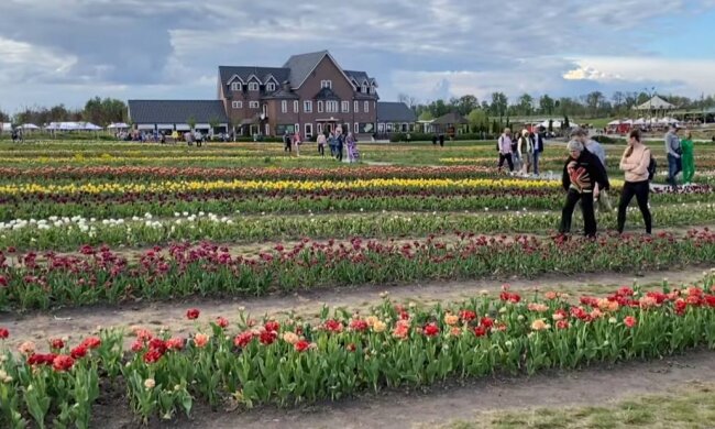 Добропарк, фото: скріншот з відео