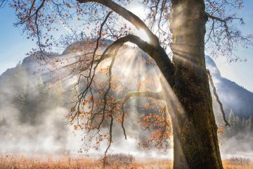 Weather Photographer of the Year 2018 (Євген Самученко)