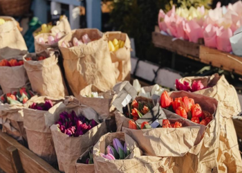 Тюльпани, квіти, фото із соцмереж