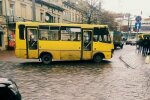 Безсмертний? У Львові дід-екстремал влаштував забіг через трасу в годину пік, очевидці отетеріли