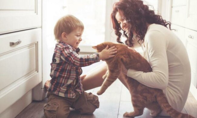 День усиновлення в Україні 2017: історія та традиції свята