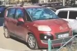 Кот-громила вышел погулять и устроил вечер битых капотов: хозяйка оплатит