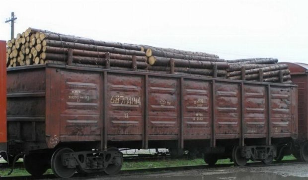 Львівські активісти виявили 200 вагонів контрабандного лісу