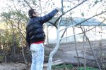 Побілка дерев, скріншот із відео