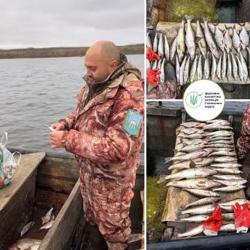 Держекоінспекція