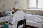 Львів, це знову змії: отруйна тварюка ледь не відправила чоловікана той світ