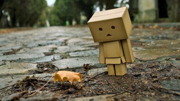 - Як уберегтися від осінніх загострень (Znaj.ua) - rai.ua