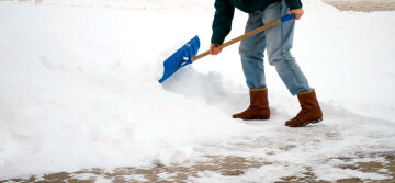 Тротуарная плитка: фото из свободных источников