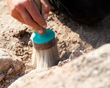 Школьник случайно нашел старейшее существо планеты