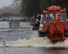 Страдают целые города: вырубка леса устроила в Карпатах экологический ад 