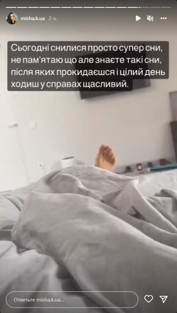 Ксенія Мишина, скріншот: Instagram Stories