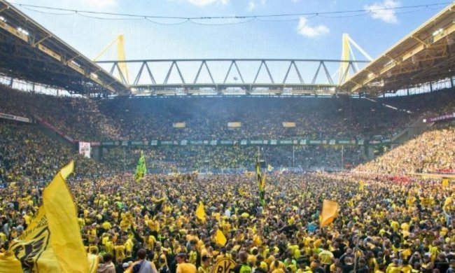 Голый фанат "Боруссии" бегал на стадионе 