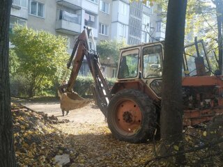 У Франківську мало не закопали кошенят живцем, фото: Суспільне