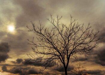 Погода в Україні, фото: pixabay
