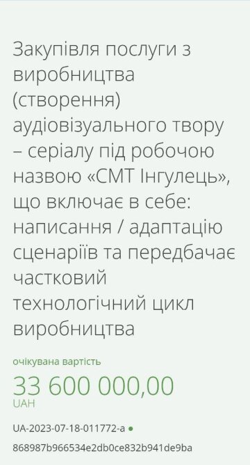 Тендер на зйомку серіалу від Мінкульту, скріншот