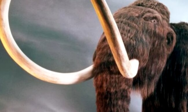 Фото: скриншот youtube