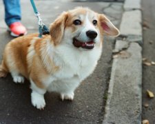 Анекдоты на 13 апреля заставят вас полюбить весь мир