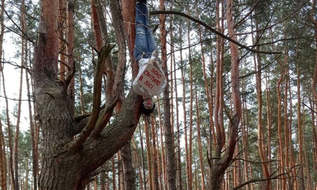 Фото: телеграм-канала "Инсайдер"