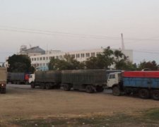 Колона російських вантажівок вивозить з Криму зерно