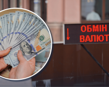 Доларові купюри в обмінному пункті