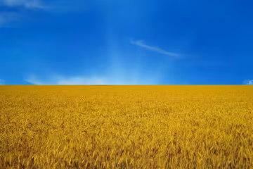 До чого б ви привели Україну?