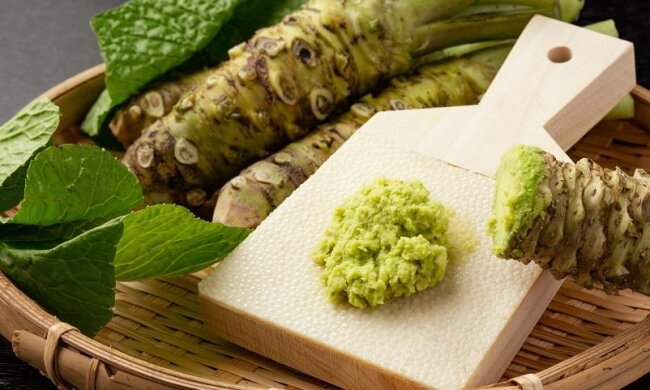 Васабі. Фото  Online-Sushi
