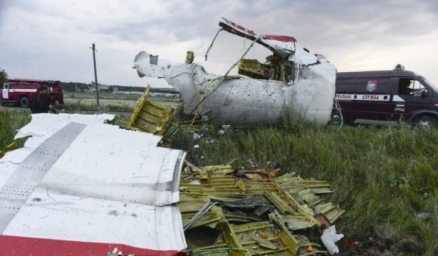 Нидерланды  10 августа назвут причины падения Боинга-777