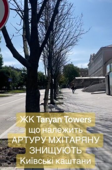 Засохшие каштани возле Taryan Towers. Фото кадр из TikTok