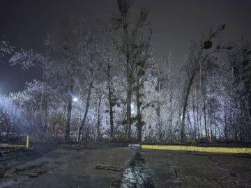 Гололед, ледяные деревья - фото Знай.uа