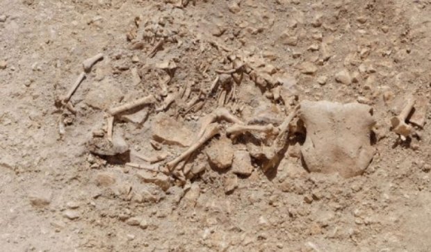 В Англии отыскали останки «мифических" животных