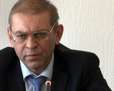Одиозный Пашинский задекларировал имение, катер и миллионные доходы