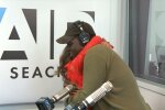"Могла быть моя могила" - парень встретился со спасительницей спустя 20 лет, кадры разорвут сердце каждого