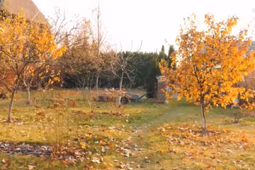 Осінній сад, скріншот з відео