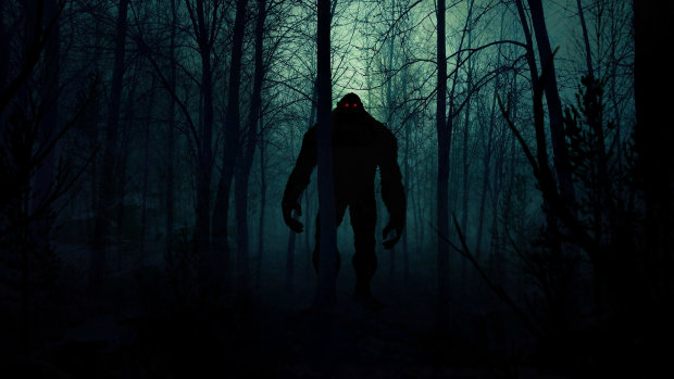 Не ходите ночью по лесу гулять: нечто страшное спряталось за деревьями и сверкнуло красными глазами, пугающие кадры показали миру