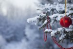 Українці розповіли, де зустрінуть 2019 рік: новорічна ялинка не в тренді