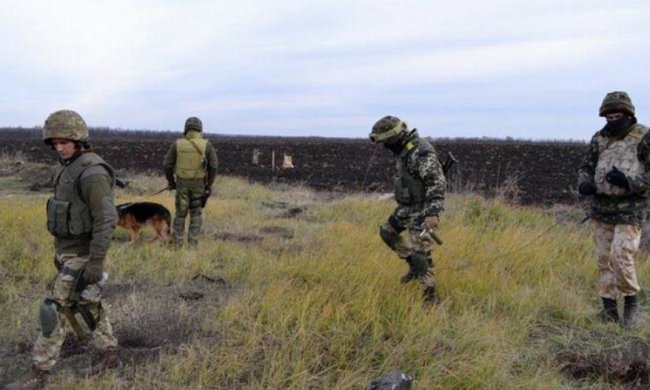 Украинские саперы обезвредили 20 тысяч вражеских мин на Донбассе